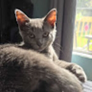 Meet your Posher, Savana